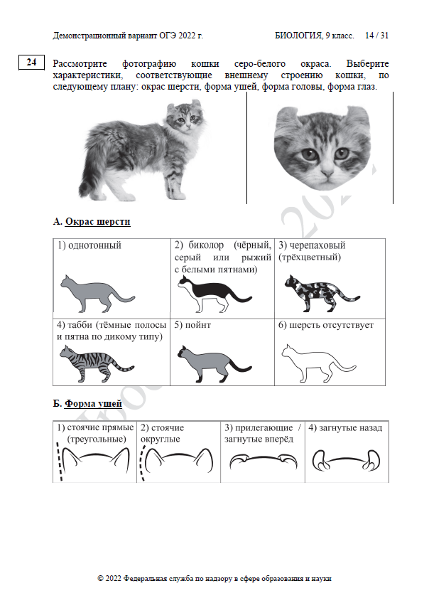 Кошка 13 задание огэ. ОГЭ по биологии 2022 задания. Первое задание ОГЭ биология 2022. Структура ОГЭ по биологии 2022. Варианты ОГЭ по биологии 2022.