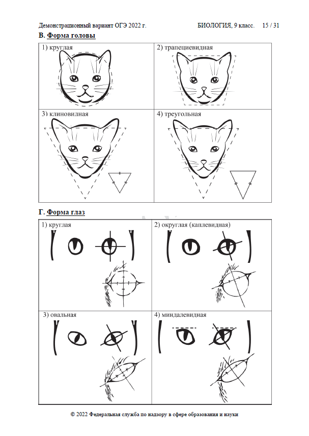 Демоверсия ОГЭ по биологии 2022