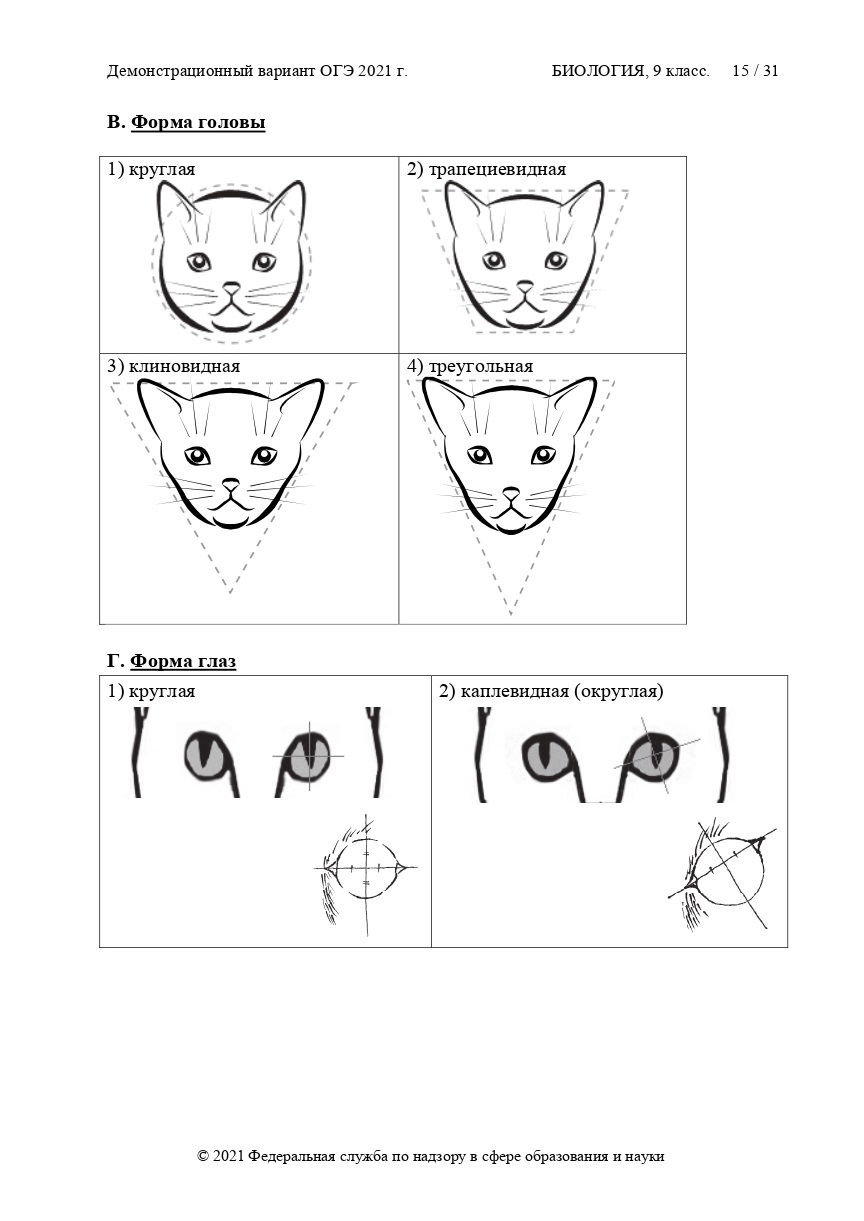 Образец огэ по биологии